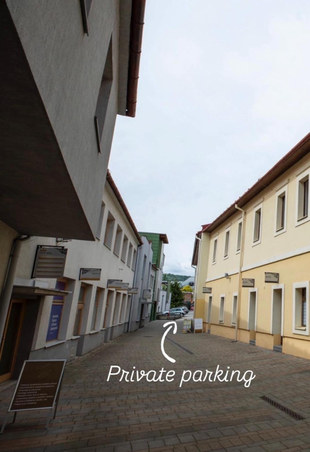Alure Residences 10 - 24H Self Check-In & Private Parking Next To The Apartment Building Included, City Center Right On Snp Square In A Quiet Passage, New Building, Best Deal In Town Banská Bystrica Exterior foto